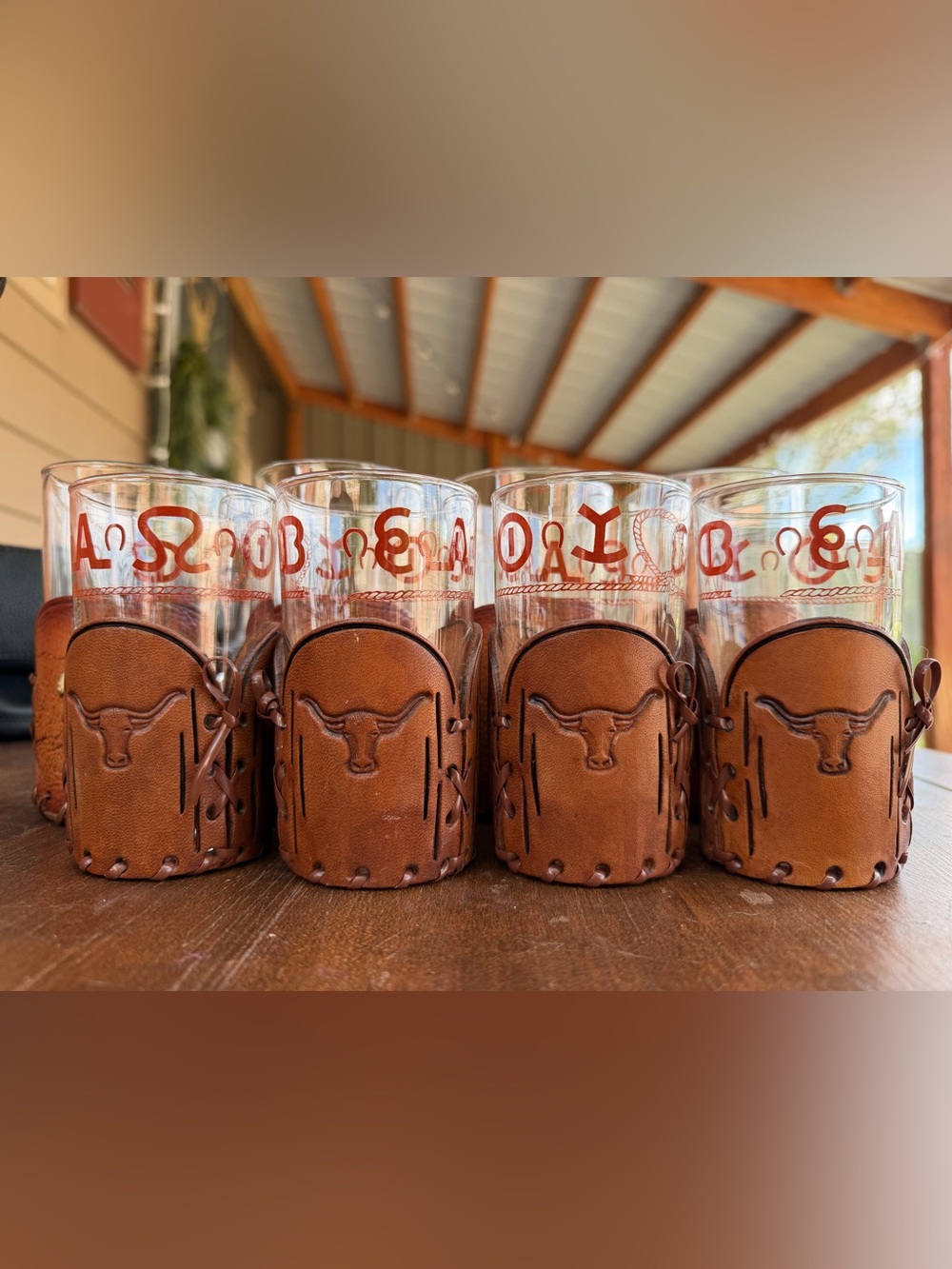 8 Leather Sleeve Glass Tumbler Set with Embossed Longhorn - Brown
